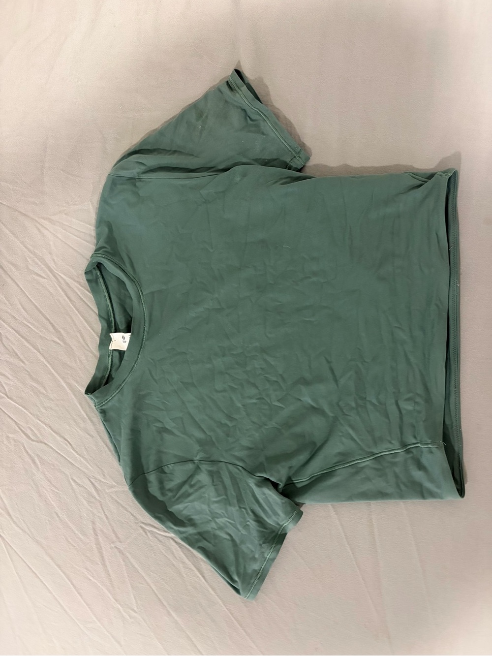 Classic Women's Lulu Crewneck Tee in Sage Green